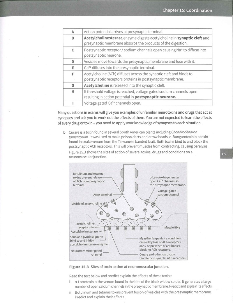 Trang nội dung tham khảo 184
