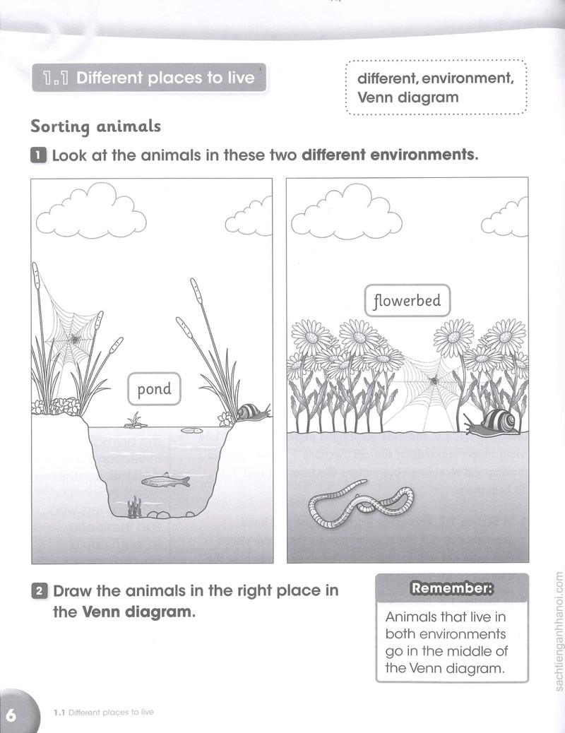 Trang nội dung tham khảo 7