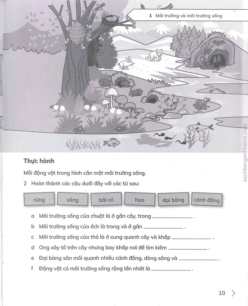 Trang nội dung tham khảo 26