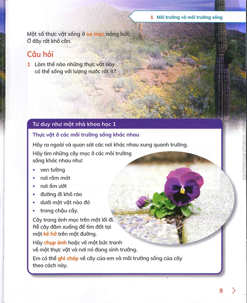 Trang nội dung tham khảo 26