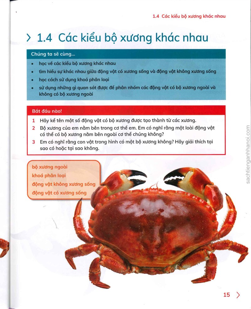 Trang nội dung tham khảo 44