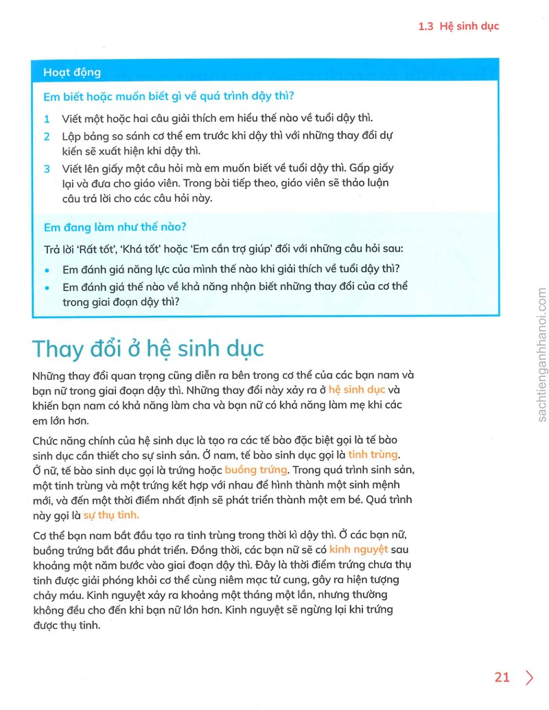 Trang nội dung tham khảo 60