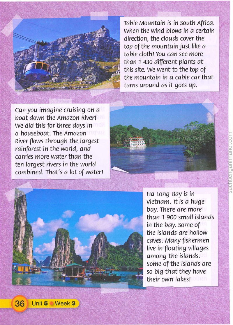 Trang nội dung tham khảo 37