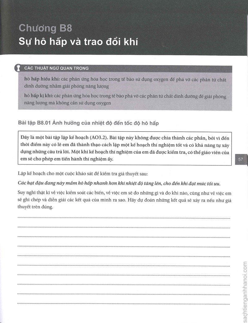 Trang nội dung tham khảo 56