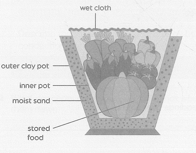 Hình minh họa câu hỏi
