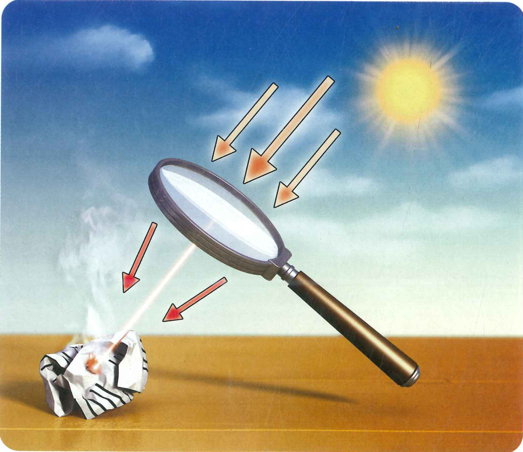 Hình minh họa câu hỏi