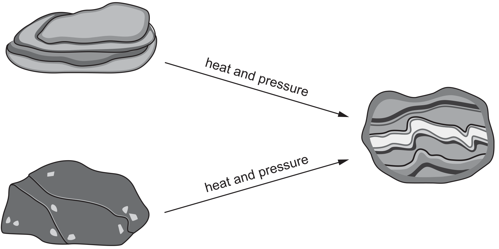 Hình minh họa câu hỏi