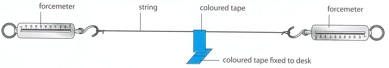 Hình minh họa câu hỏi