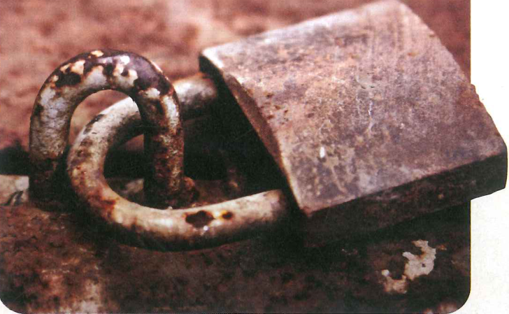 Hình minh họa câu hỏi