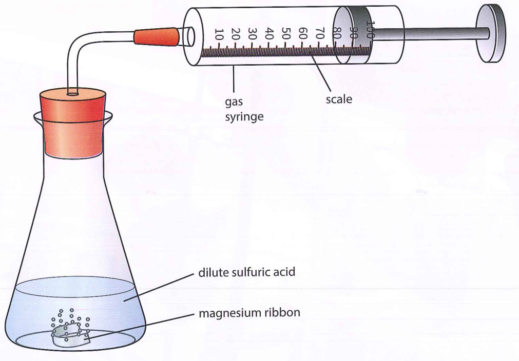 Hình minh họa câu hỏi