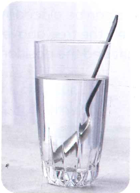 Hình minh họa câu hỏi