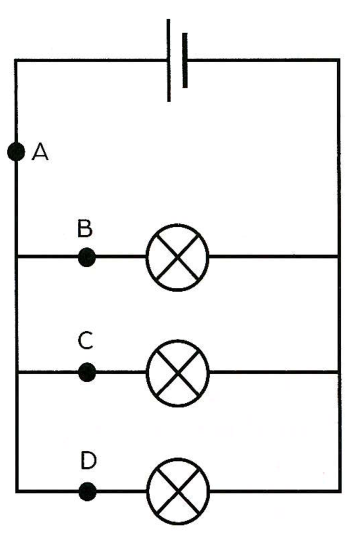 Hình minh họa câu hỏi