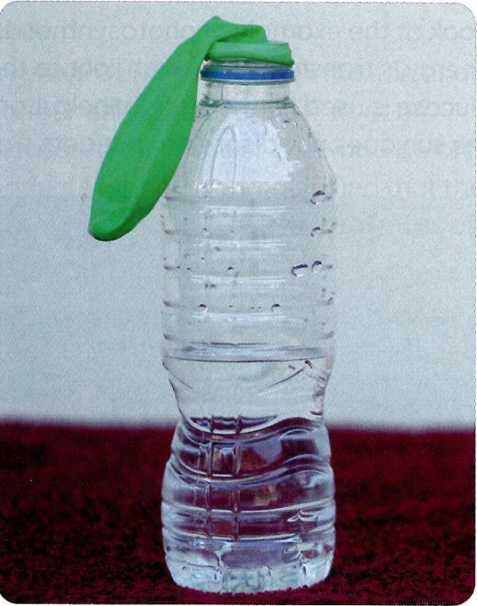 Hình minh họa câu hỏi