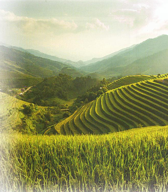 Hình minh họa câu hỏi