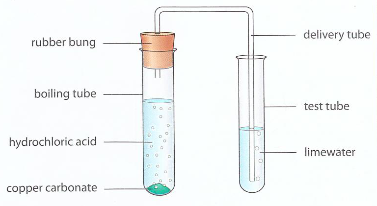 Hình minh họa câu hỏi