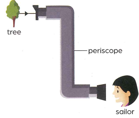 Hình minh họa câu hỏi