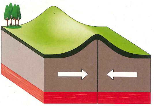 Hình minh họa câu hỏi