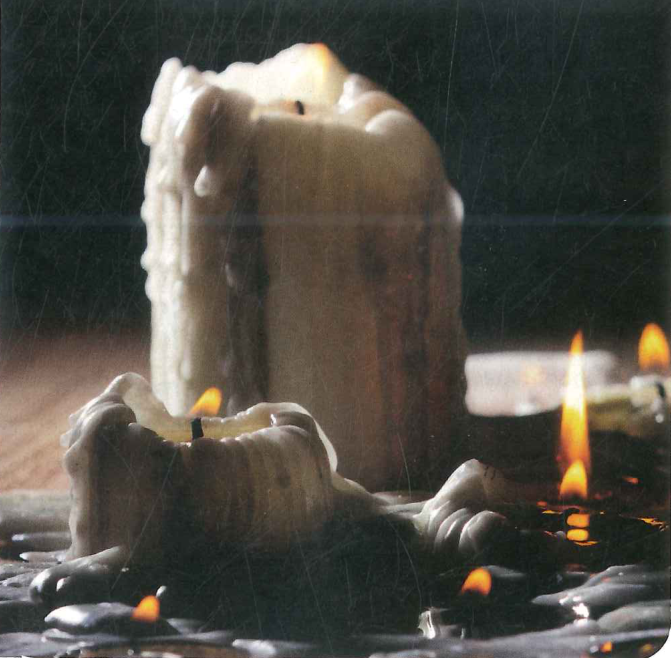Hình minh họa câu hỏi