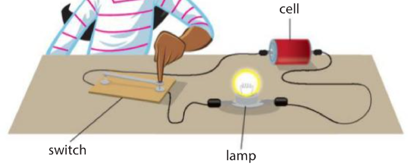 Hình minh họa câu hỏi