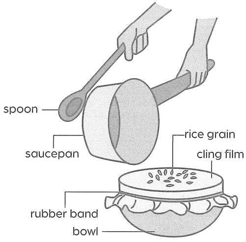 Hình minh họa câu hỏi