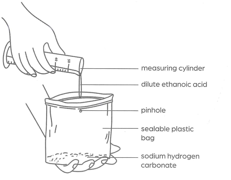 Hình minh họa câu hỏi