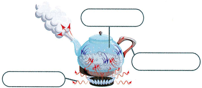 Hình minh họa câu hỏi