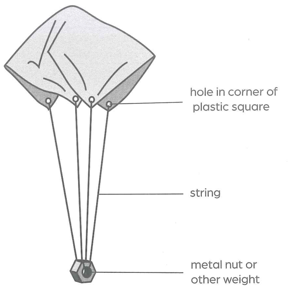 Hình minh họa câu hỏi