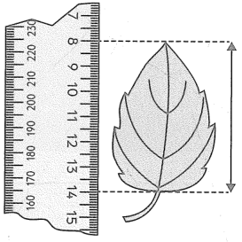 Hình minh họa câu hỏi