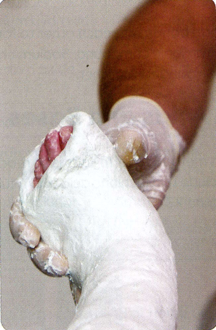 Hình minh họa câu hỏi