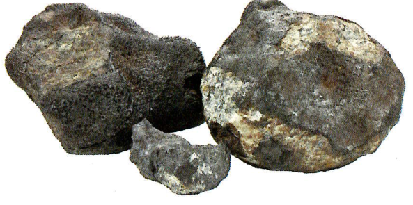 Hình minh họa câu hỏi