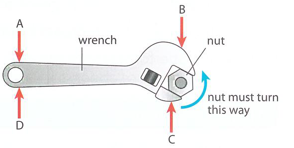 Hình minh họa câu hỏi
