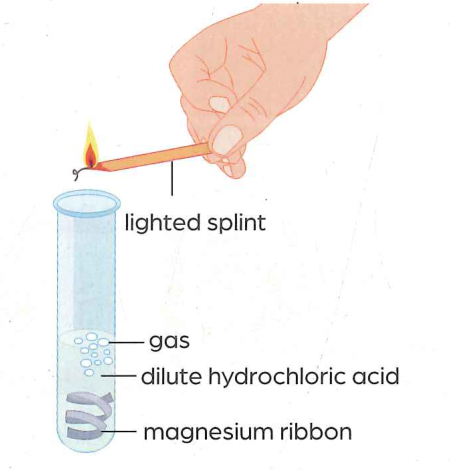 Hình minh họa câu hỏi