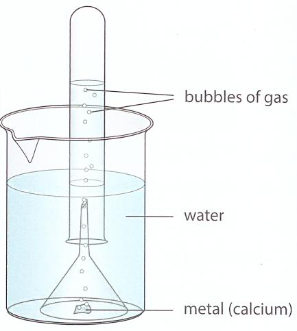 Hình minh họa câu hỏi