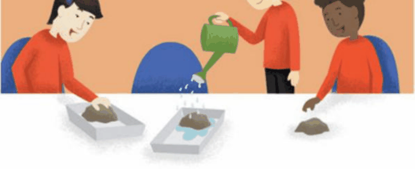 Hình minh họa câu hỏi