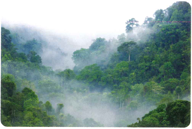 Hình minh họa câu hỏi
