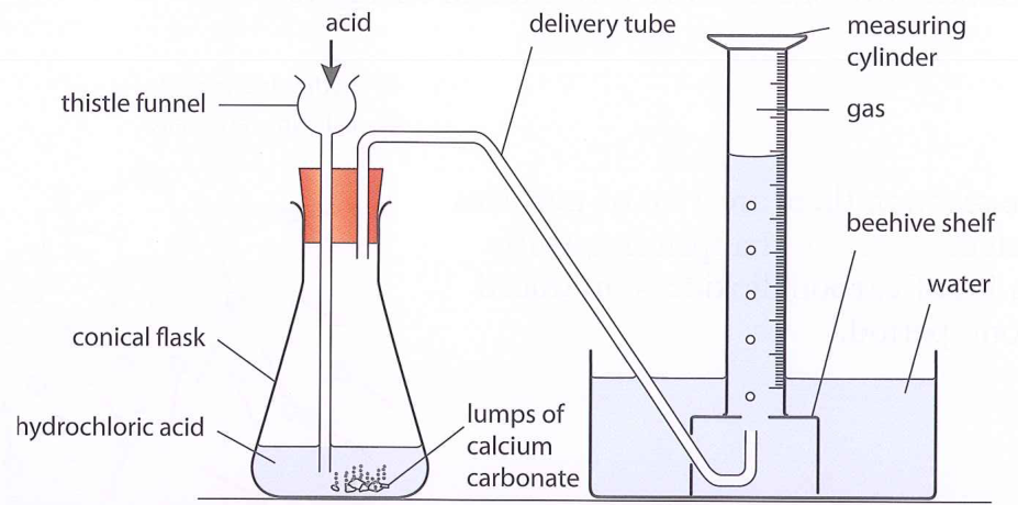 Hình minh họa câu hỏi