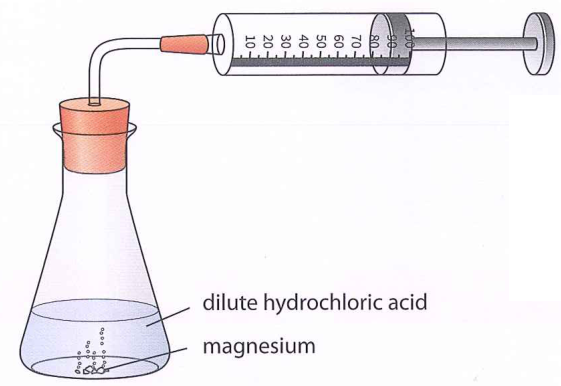 Hình minh họa câu hỏi