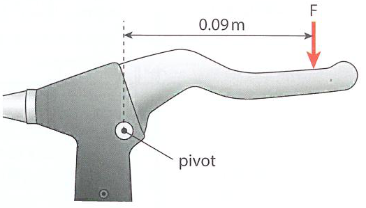 Hình minh họa câu hỏi