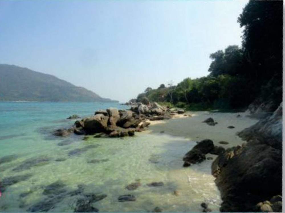 Hình minh họa câu hỏi