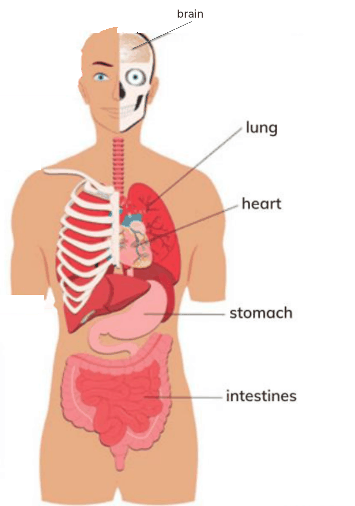 Hình minh họa câu hỏi