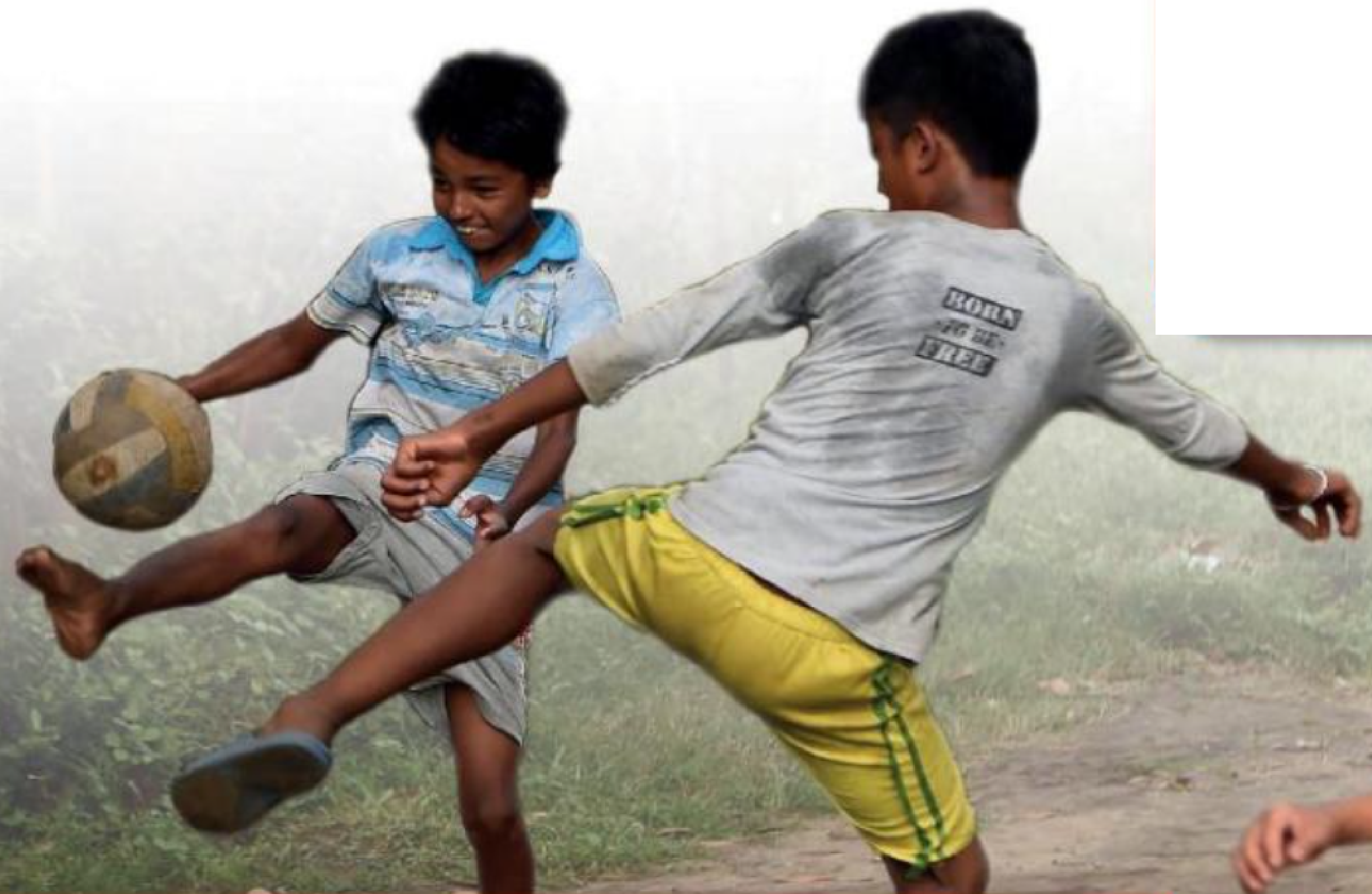 Hình minh họa câu hỏi