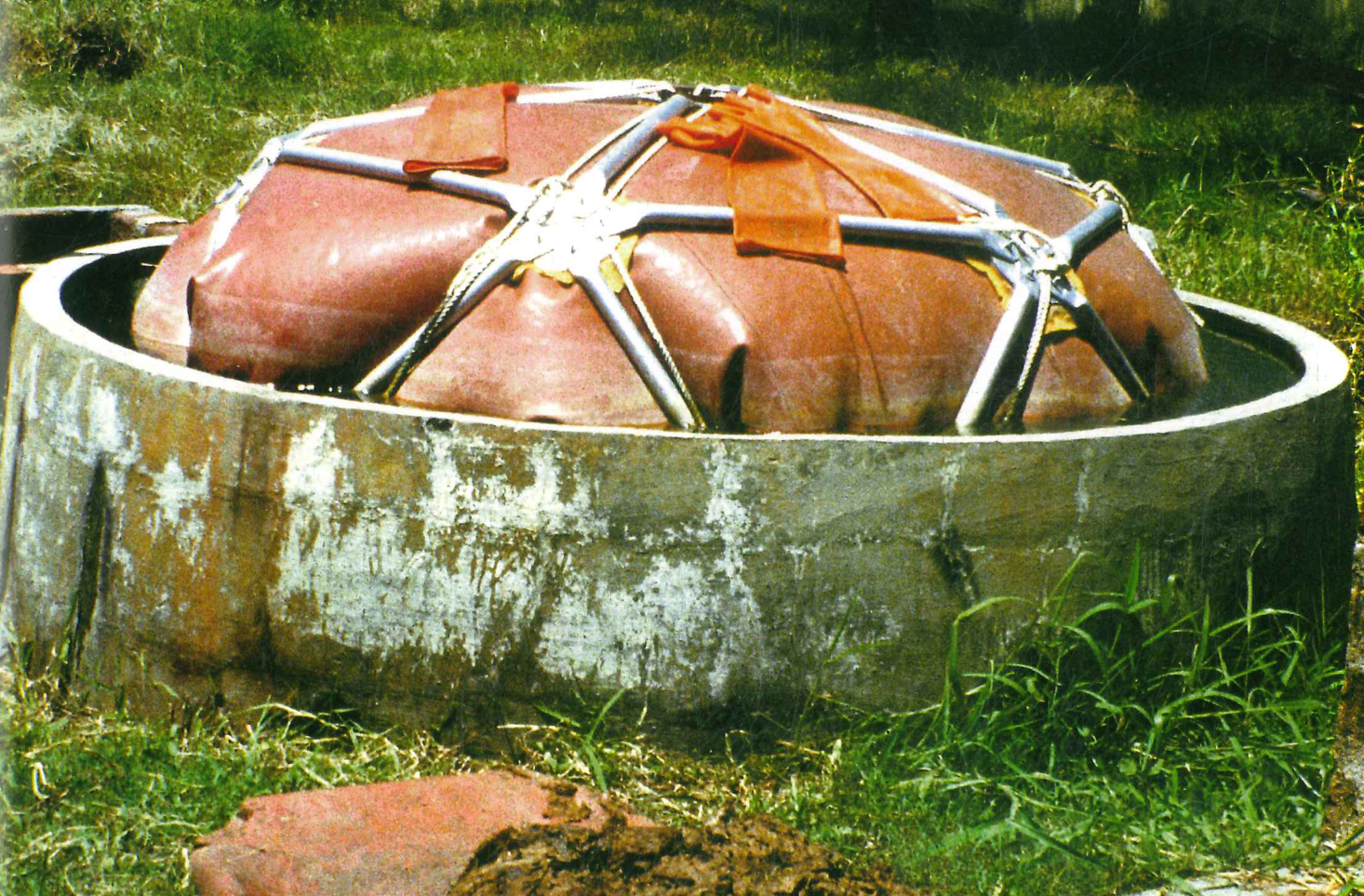 Hình minh họa câu hỏi