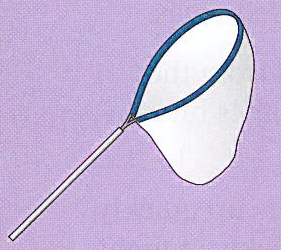 Hình minh họa câu hỏi