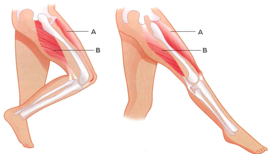 Hình minh họa câu hỏi