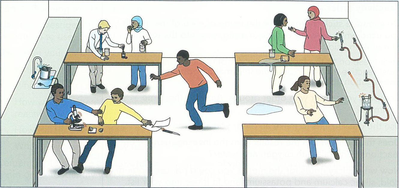 Hình minh họa câu hỏi