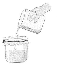 Hình minh họa câu hỏi