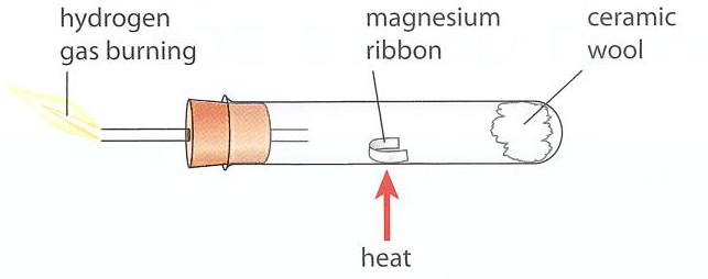 Hình minh họa câu hỏi