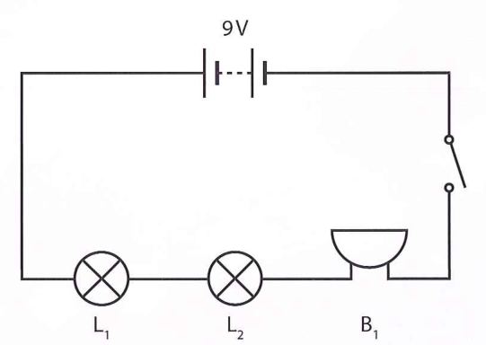 Hình minh họa câu hỏi