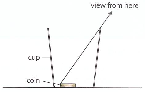 Hình minh họa câu hỏi