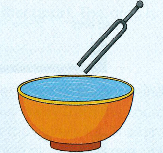 Hình minh họa câu hỏi